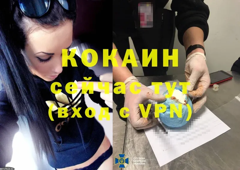 где можно купить   Севастополь  COCAIN VHQ 